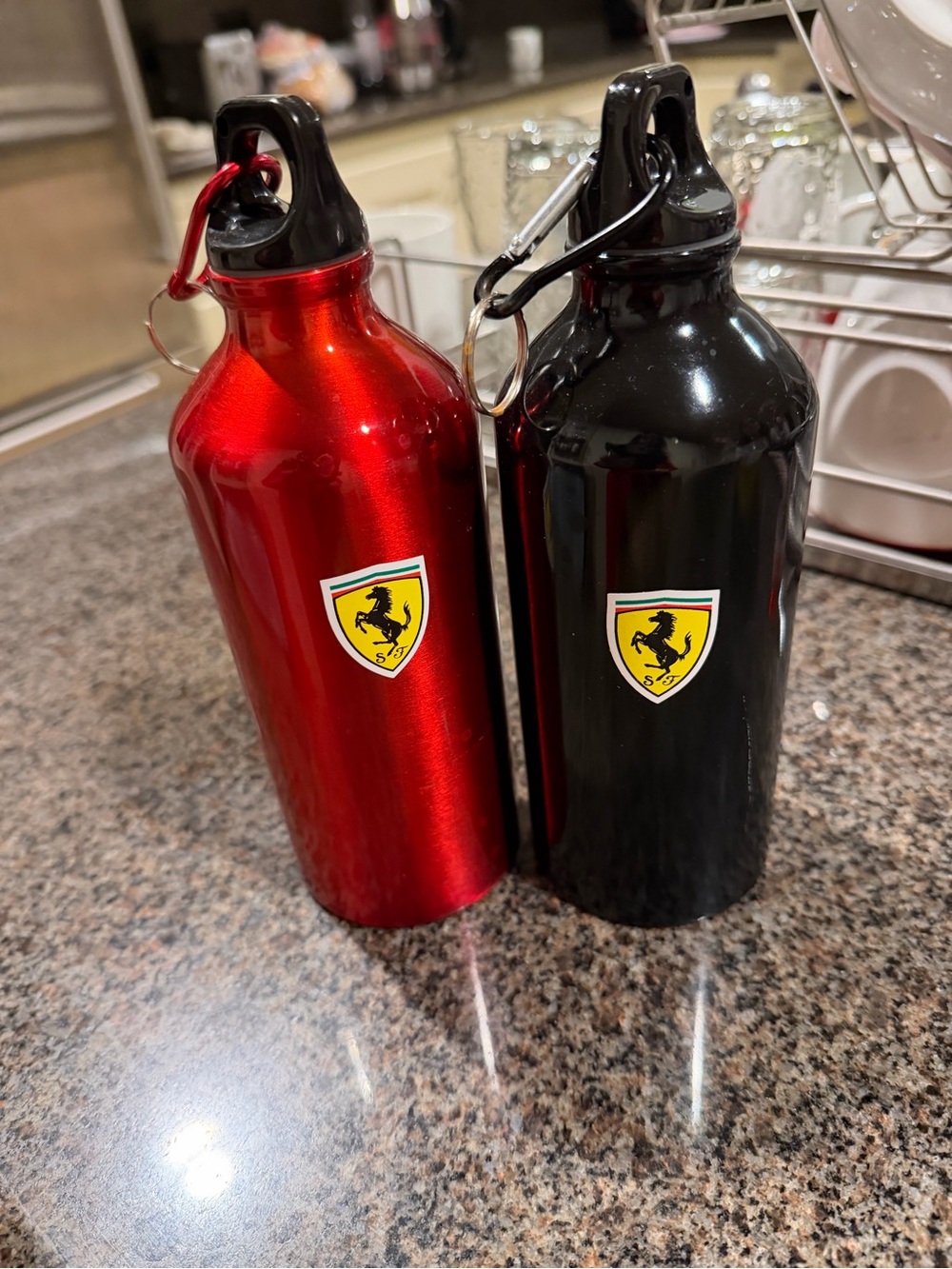 Ferrari Red and Black Aluminum Water Bottles with Shield Logo